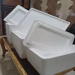 نکاتی برای استفاده از یخدان یونولیتی